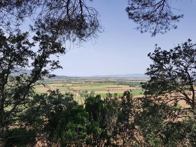 Poggio Alto Agrioturismo Villa Grosseto